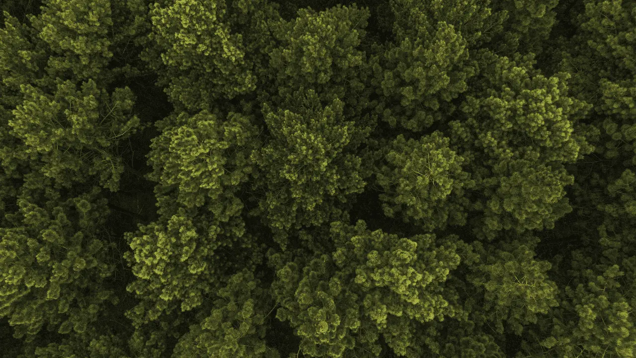 Conceito DNA Sustentável